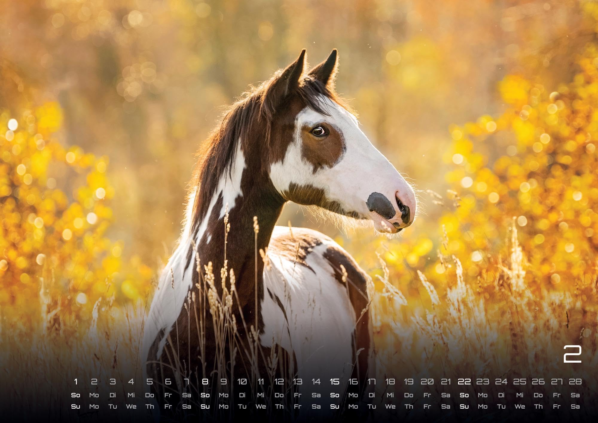 Pferdegeflüster - Der Pferdekalender - 2026 - Kalender DIN A2: Der Wandkalender mit den schönsten Pferde-Motiven für das Jahr 2026 im extragroßen Format DIN A2 (ca. 60 x 42 cm)!