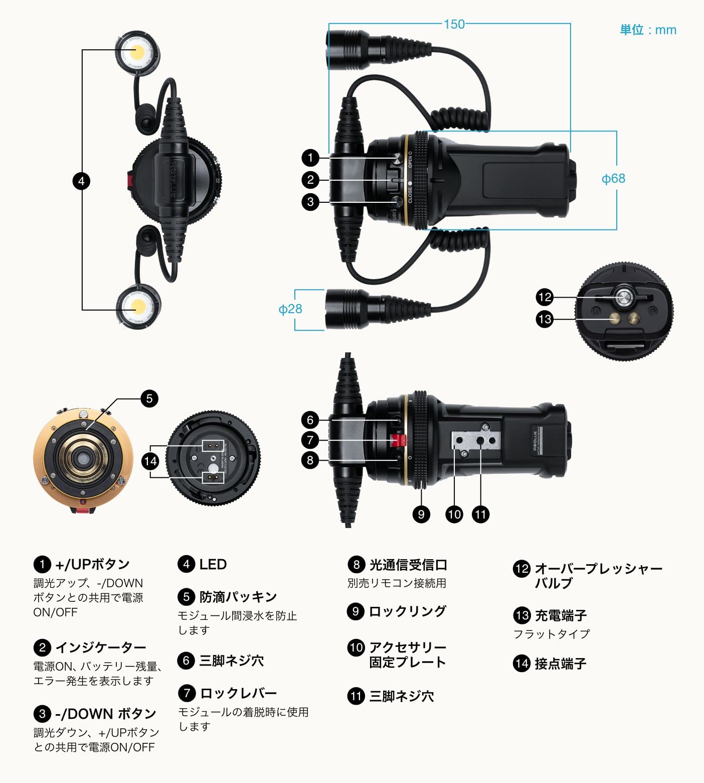 Amazon.co.jp: RGBLUE アールジーブルー TWIN LIGHT SYSTEM01:re 