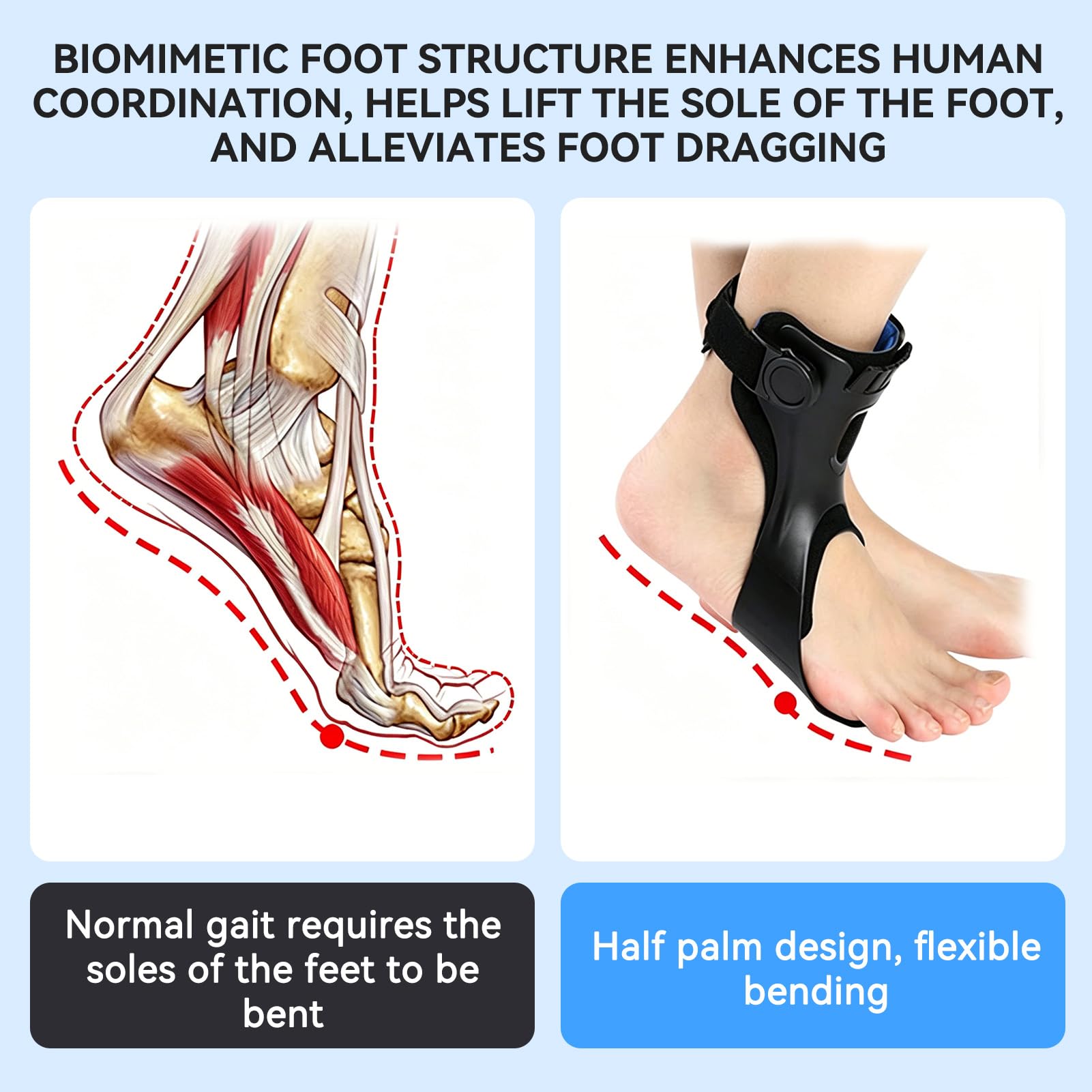 Agatige Ortesi per tutore per piede cadente, supporto per caviglia per scarpe da corsa per emiplegia(Right Foot L)