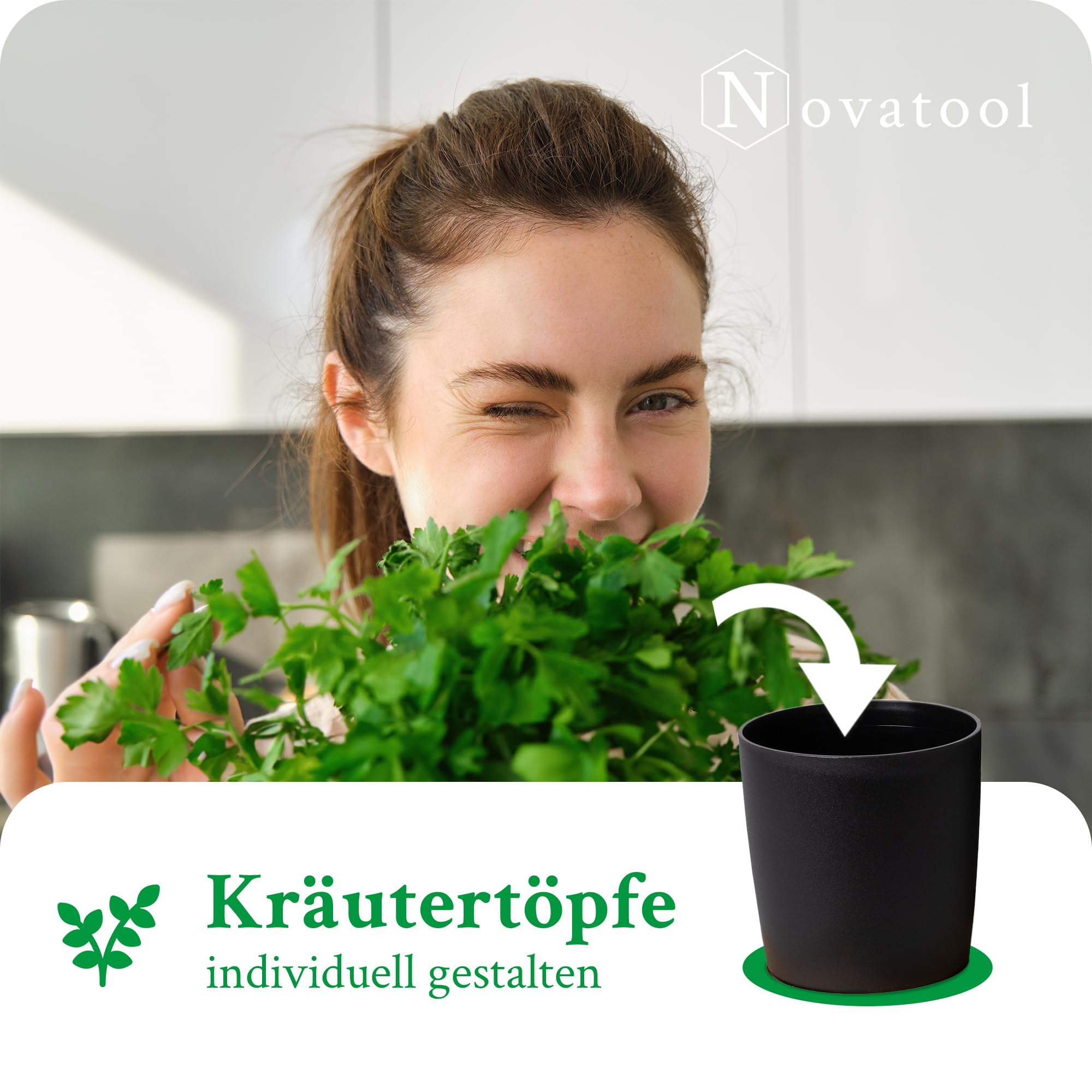 Novaliv Elegante stazione per erbe aromatiche, set da 6 pezzi, con base in legno, per qualsiasi davanzale, per erbe aromatiche fresche, per la cucina, per piante aromatiche, per interni, fioriera,