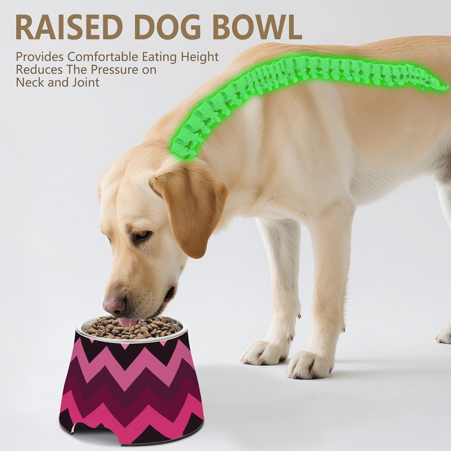 Magenta Colorful Bowls for Pets Non Slip Stainless Steel Cats Basic Bowls for Small Dogs Whisker Relief
