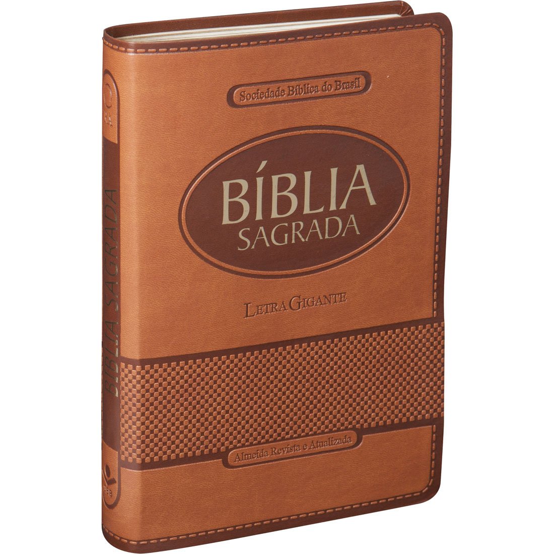 Santa Bíblia Letra Grande / Large Print (Portuguese Edition)      Leather Bound – December 30, 2016