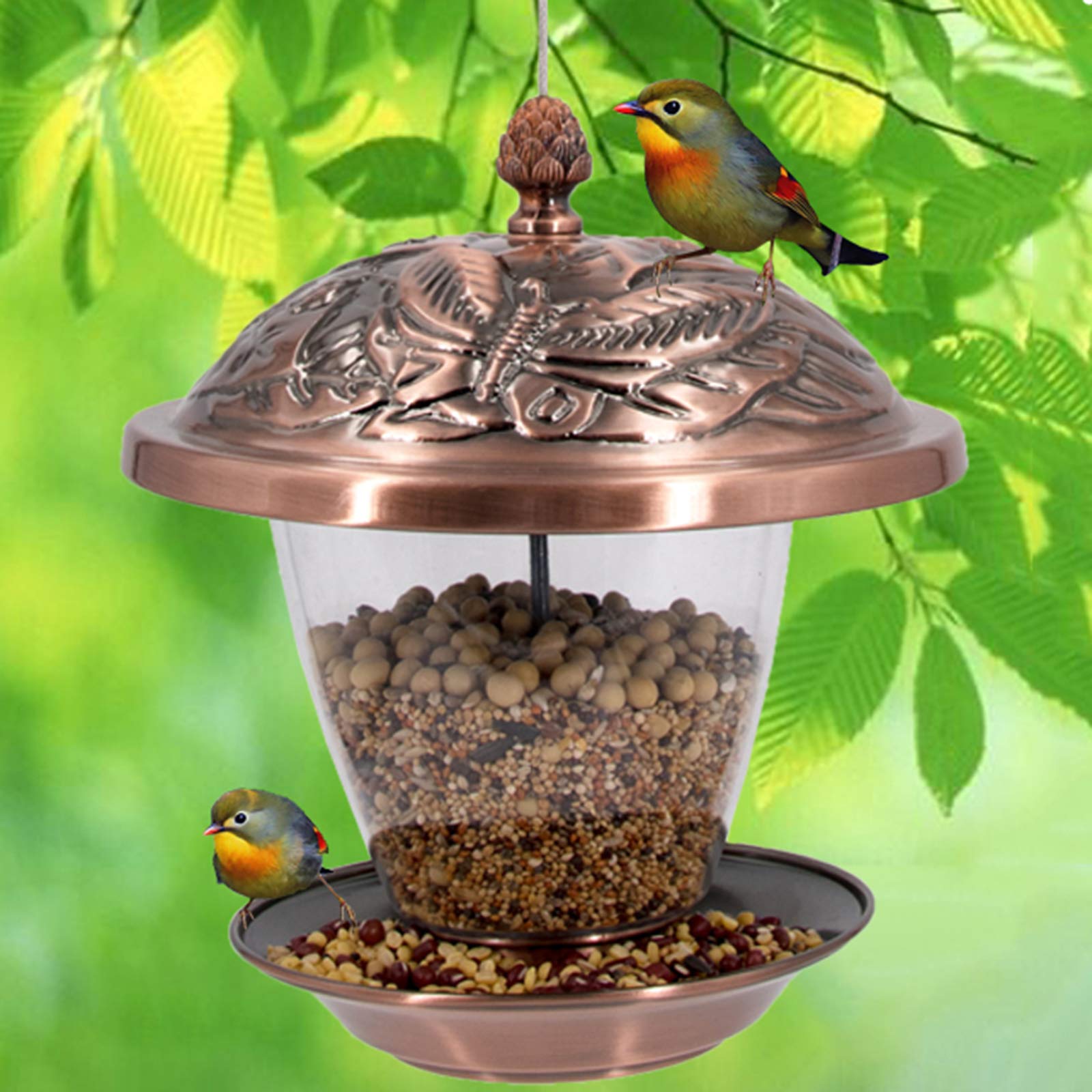Aimerizzatori di uccelli appesi, alimentatori di uccelli del gazebo di panorama e decorazione del giardino per gli osservatori e i bambini dell'uccello, giardino del giardino esterno, con il tetto