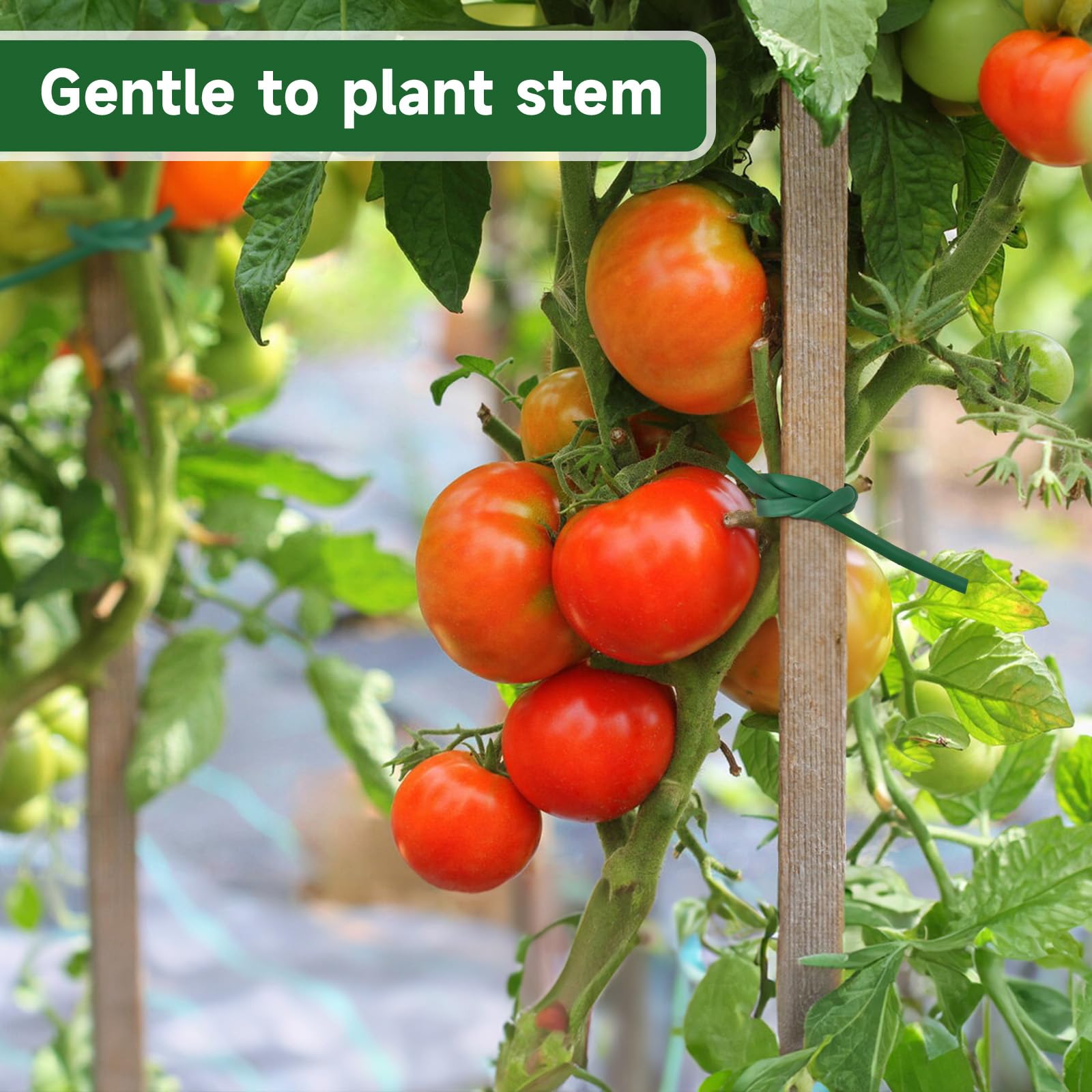 KINGLAKE Tubo de Atado Flexible, Cinta de Jardín Verde de 3mm x 50m para Plantas Trepadoras, Cuerda de Jardín de Plástico para Tomates, Rosas, Soporte para Vegetales