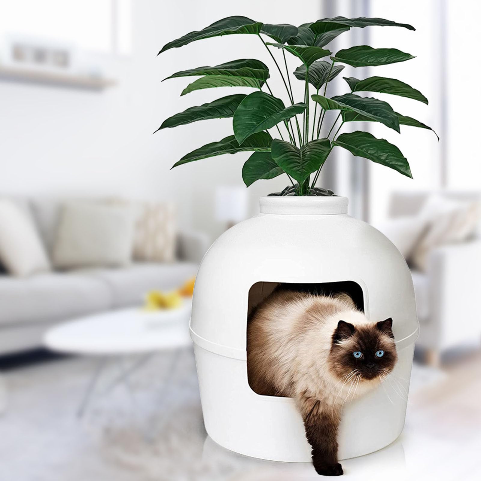 Bac à Litière pour Chat, Bac à Litière caché, Espace de sécurité fermé, Matériau PP, Bac à Litière caché pour Chat, Meubles pour la Décoration de la Maison, Intérieur Spacieux