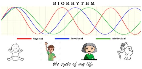 Quadra Biorithm