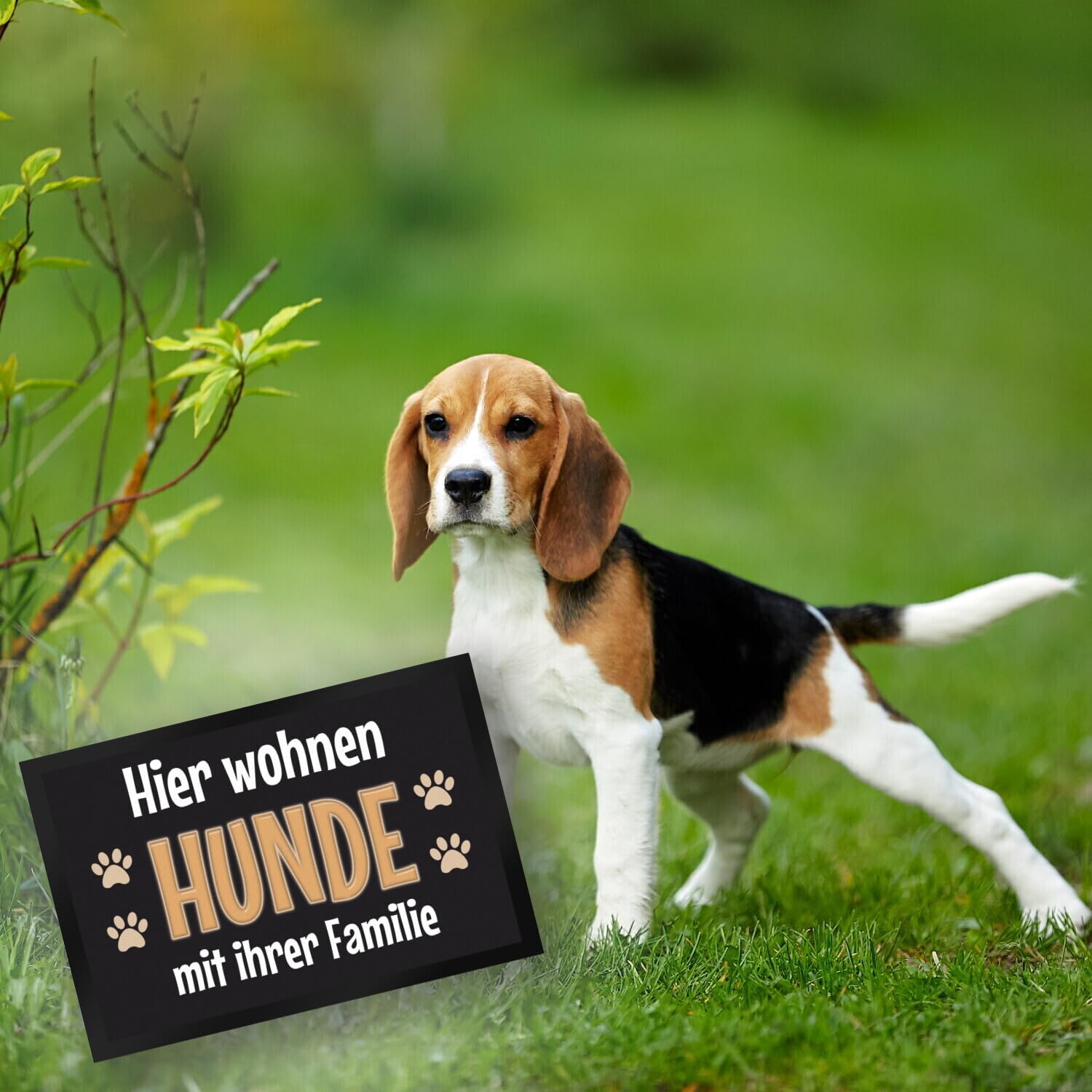 trendaffe - Fußmatte Hier wohnen Hunde mit ihrer Familie