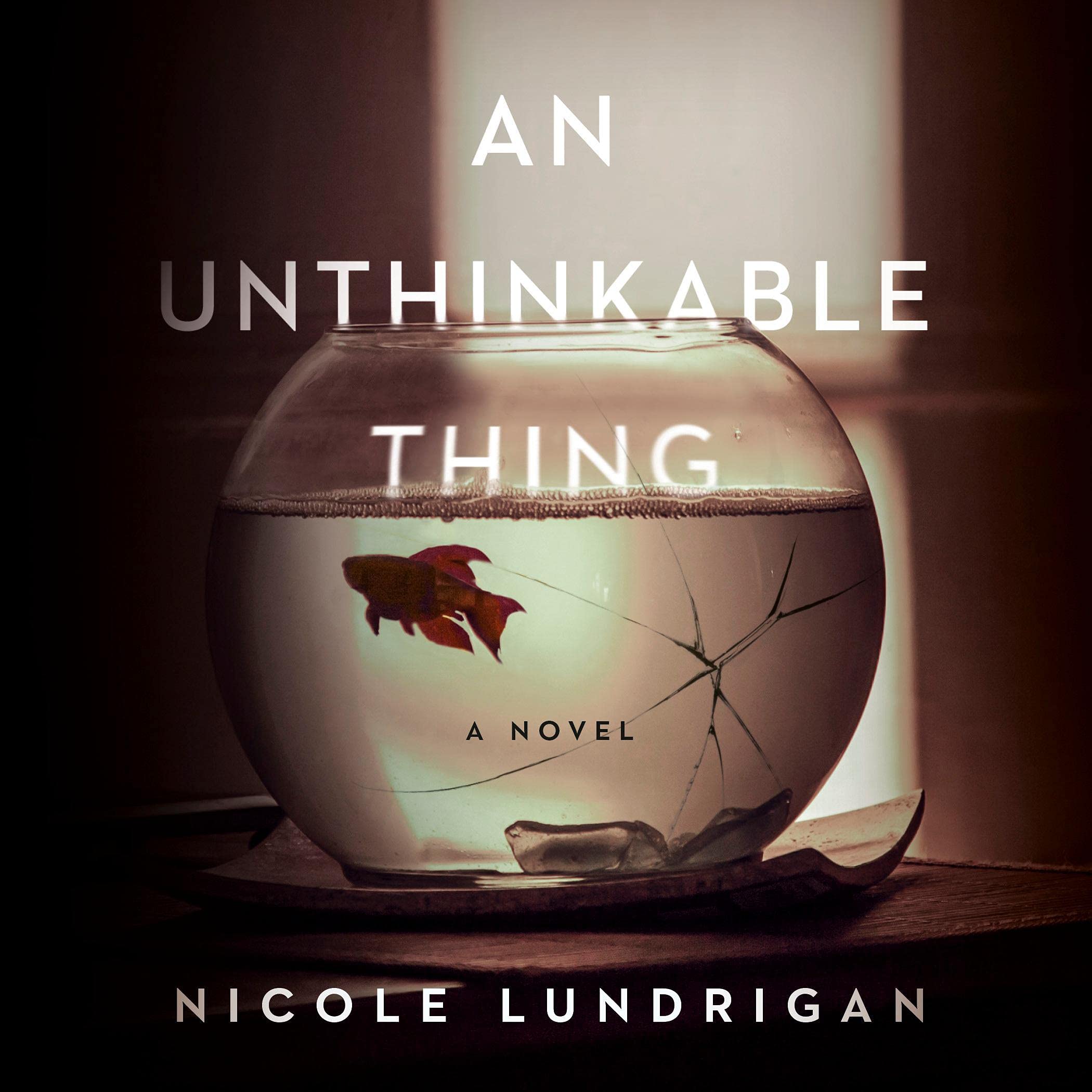 Cover art for An Unthinkable Thing