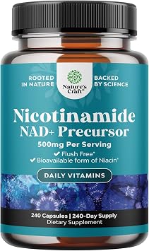 Vitamin B3 Niacinamide 500mg Capsules - Mitochondrial Energy and Potent Skin Supplement - AKA Vitamin B3 Niacin Flush Free and Nicotinamide 500mg - Flush Free Niacin Supplement - 240 Count