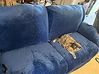 Review Image by Nicole Nicole