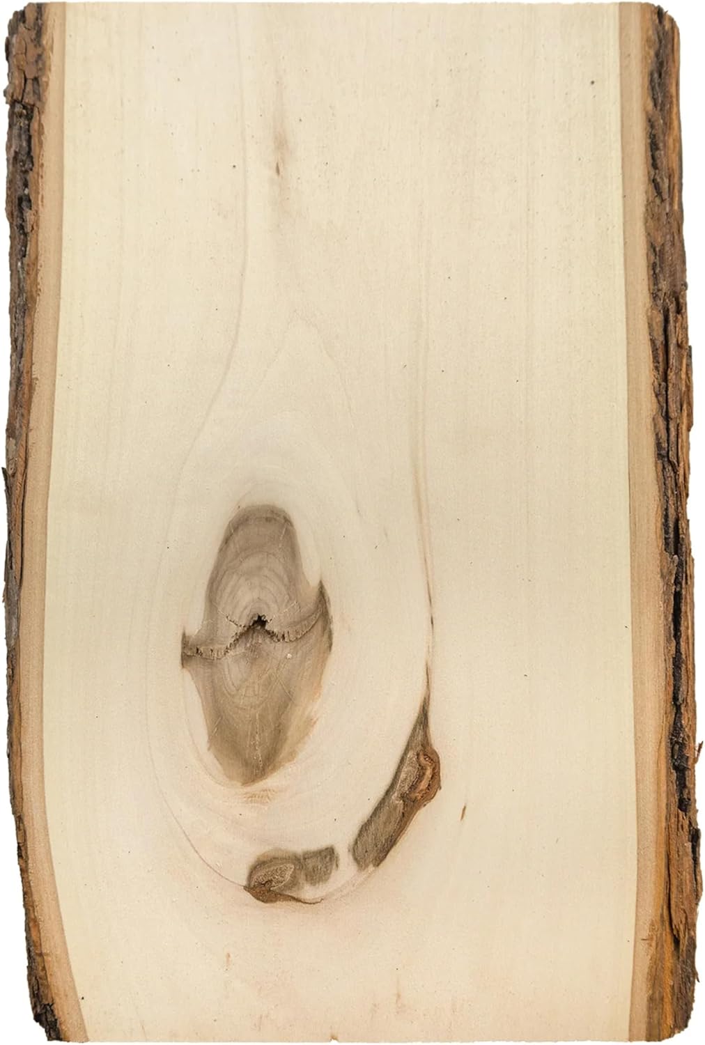 Foggy Bottom Woodworks LLC Rustic Bark Edge Basswood 8-Pack, 11 in. Long for Arts & Crafts