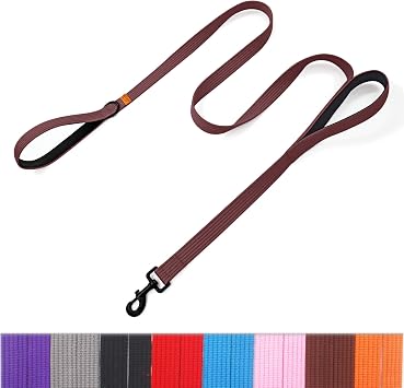 Lynxking Dog Training Leash - Double Handle Heavy Duty 6ft Webbing With 2 Padded Handles - Long Reflective Safety Walking Lead for Small Medium Large Dogs