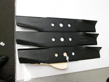BILLY GOAT (SET OF 3) BLADES # 520001 FOR FM3300 \u0026 FM3301 MOWERS  -from.id#_killian3790 SDHGAE7893402319 : Amazon.ca: Home
