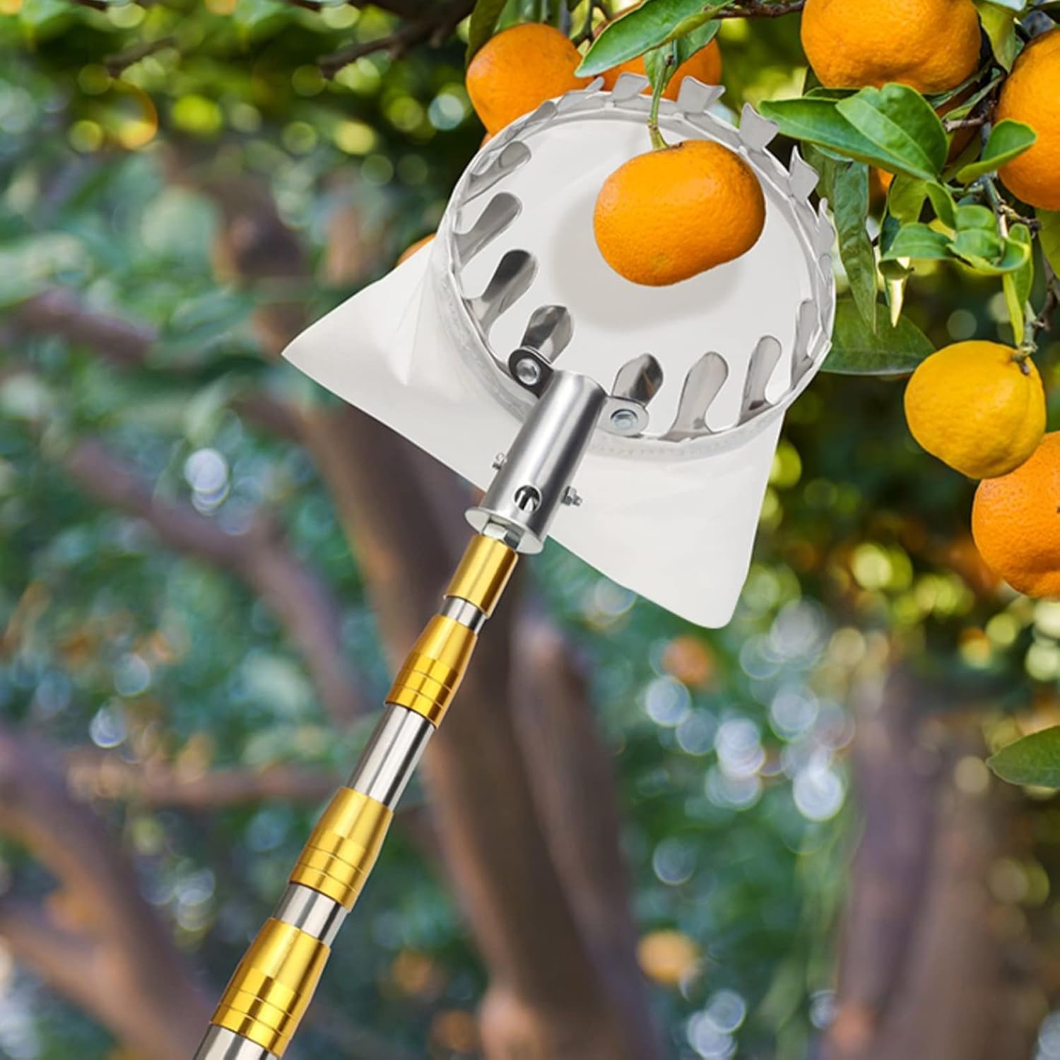 Obstpflücker Teleskopgriff – Verstellbares Obstpflückwerkzeug für einfache Ernte von Kaki, Pfirsich, Birne, Apfel, Pflaume, Mango und Bayberry – 4,8 m Reichweite