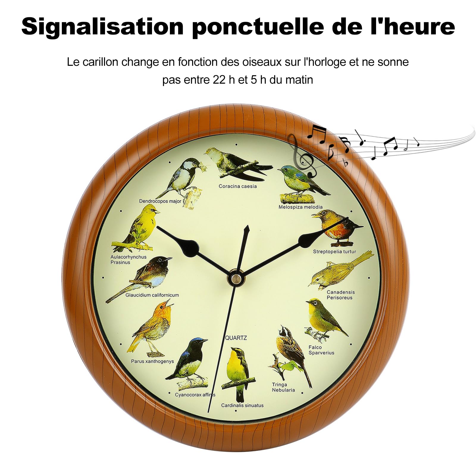Ergocar Chant De Mur d'Oiseau Horloge Murale Douze Oiseau Chantant Batterie Alimentée (33,02 Cm) 13 Pouces
