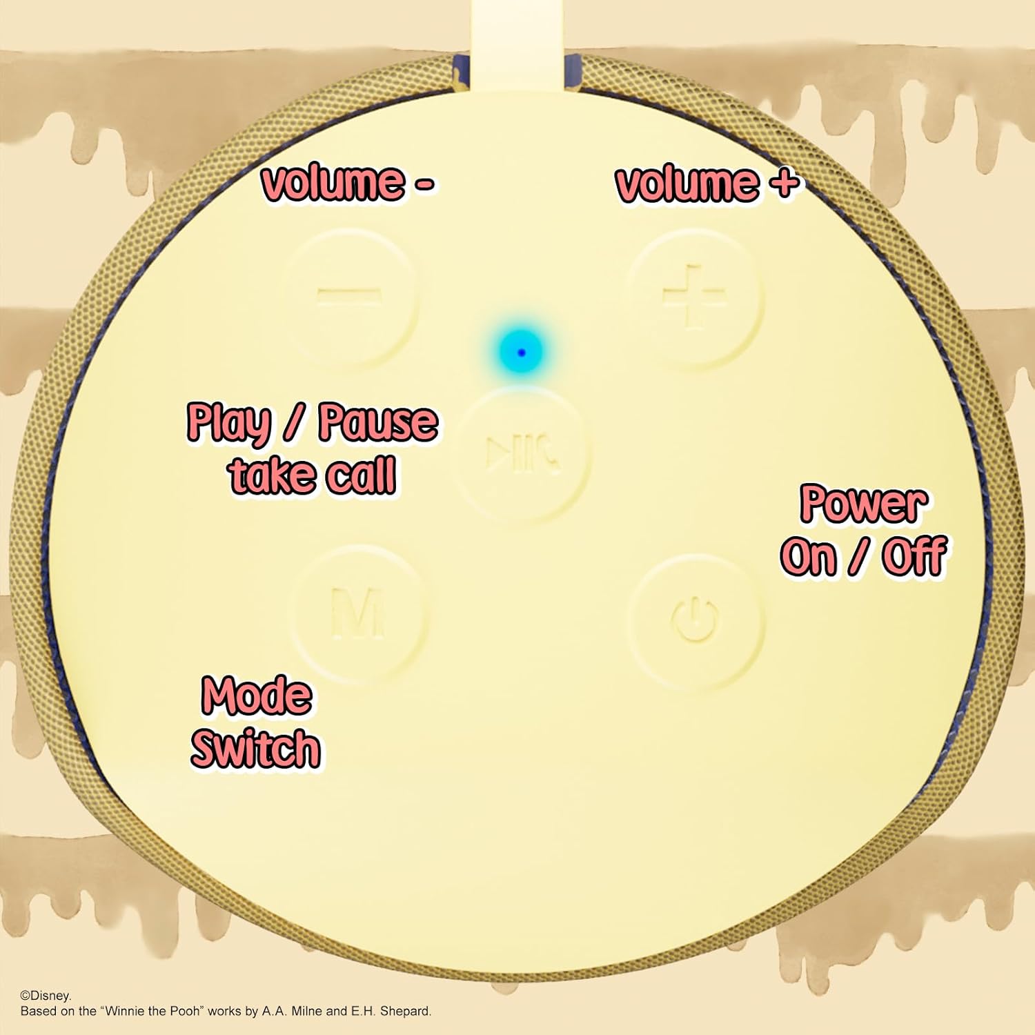 Top view of the speaker showing control buttons