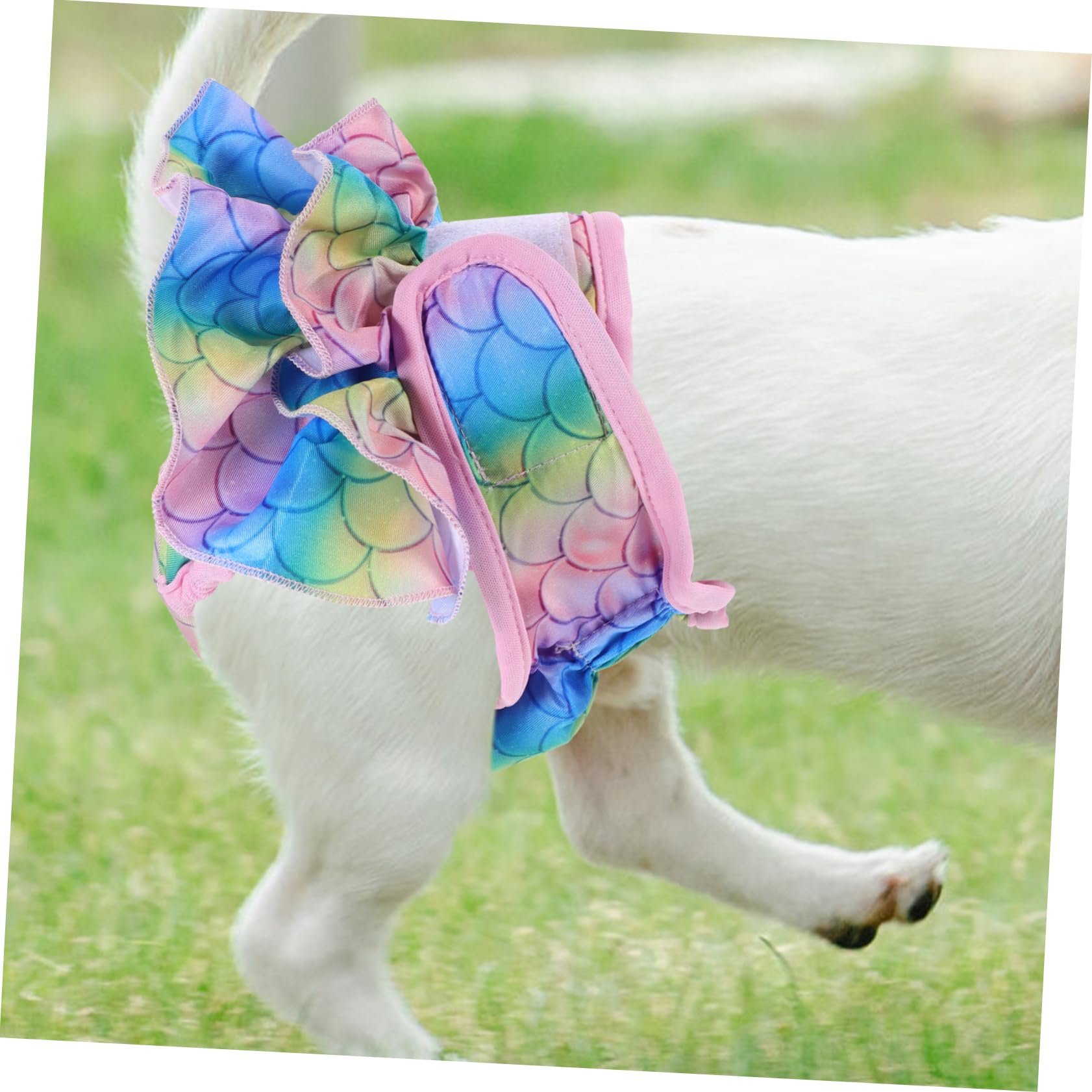 minkissy 4 Pantalones fisiológicos para Mascotas, para Perros machos, Pantalones de acoso para Perros, Pantalones físicos para Perros, Bragas sanitarias para Mascotas, Pantalones de Calor para