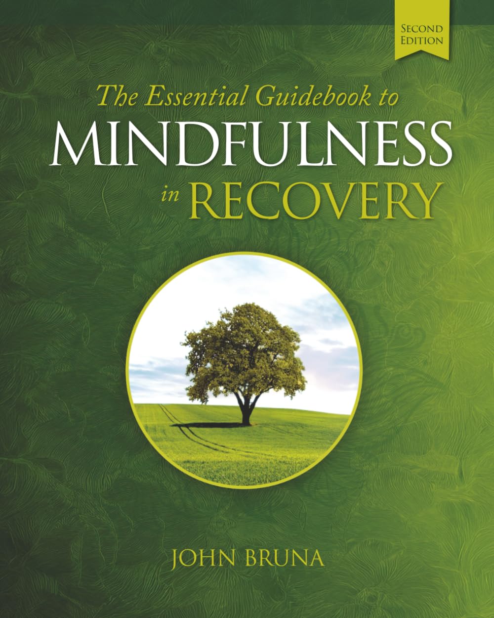 The Essential Guidebook to Mindfulness in Recovery, Second Edition: Practical Mindfulness Skills to Support Your Recovery and Cultivate Inner Peace, Resilience, and Well-Being