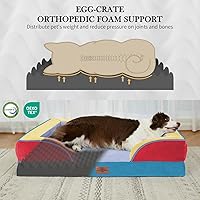 Vista 329 de Comfort Expression - Cama ortopédica para perros extragrandes, 53 x 42 pulgadas, cama impermeable y de apoyo de espuma con cojines removibles