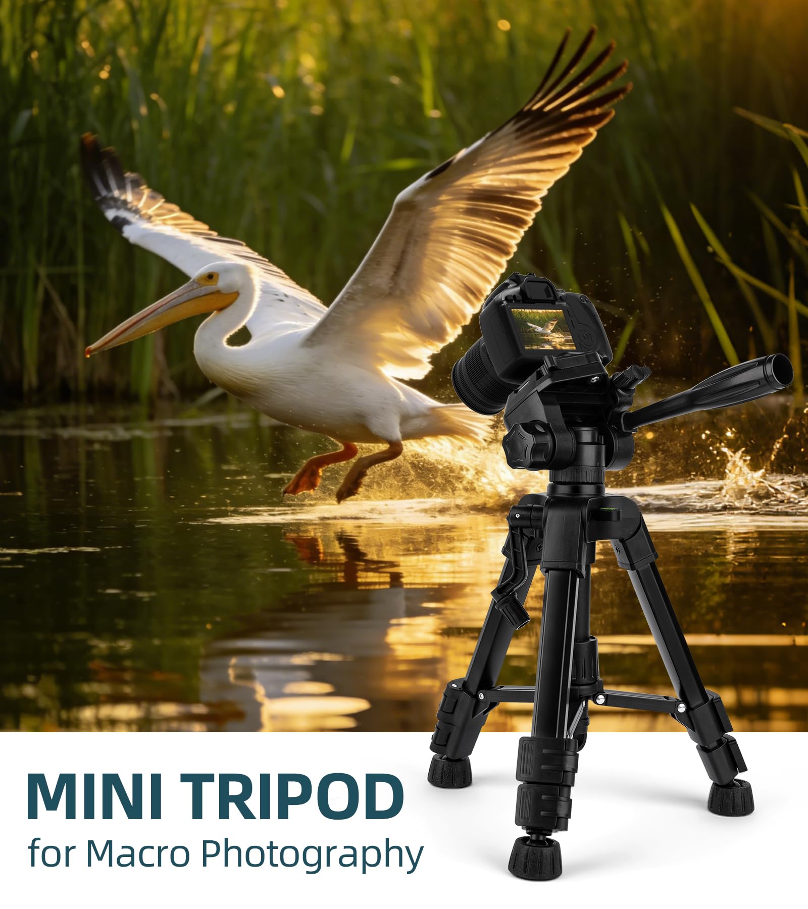 Mini treppiede per fotocamera 25''