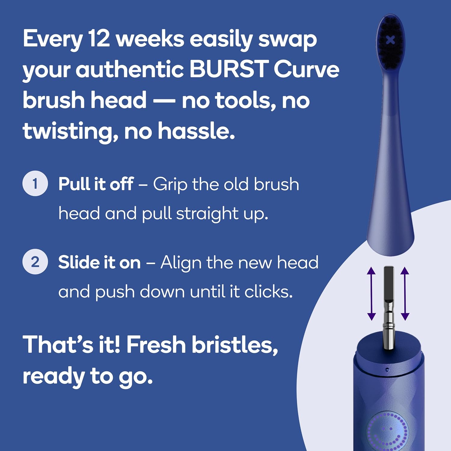 BURST Replacement Heads for Curve Sonic Electric Toothbrush (3 Pack/Cobalt Blue)