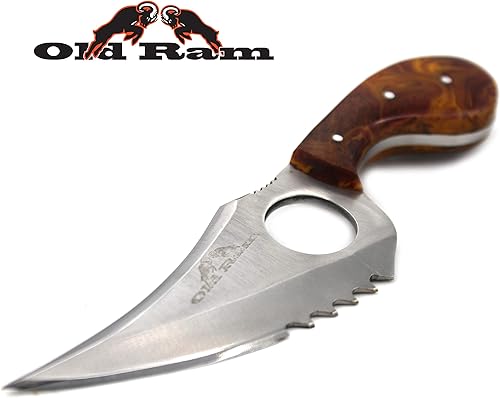 Collection - Cuchillo de sierra de hoja fija resistente y multicolor