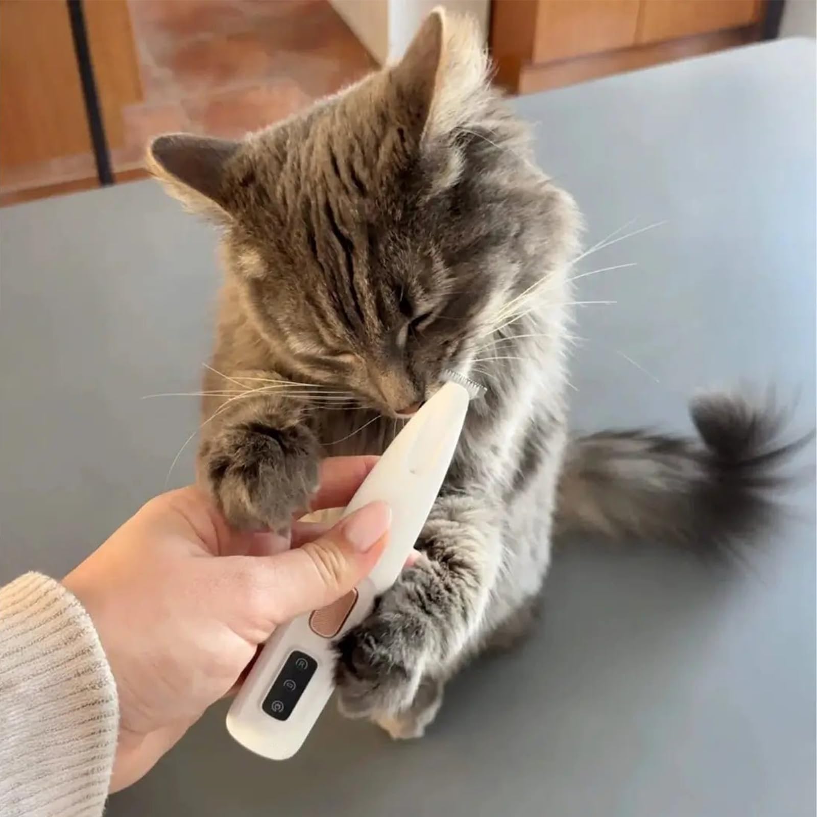 Patounet Tondeuse, de Precision Pour Chat, 35 db À Faible Bruit, Lames Douces, Sûres et Hypoallergéniques, Rechargeable Par Usb, Comprend un éclairage LED, Compact et Pratique (1PC)