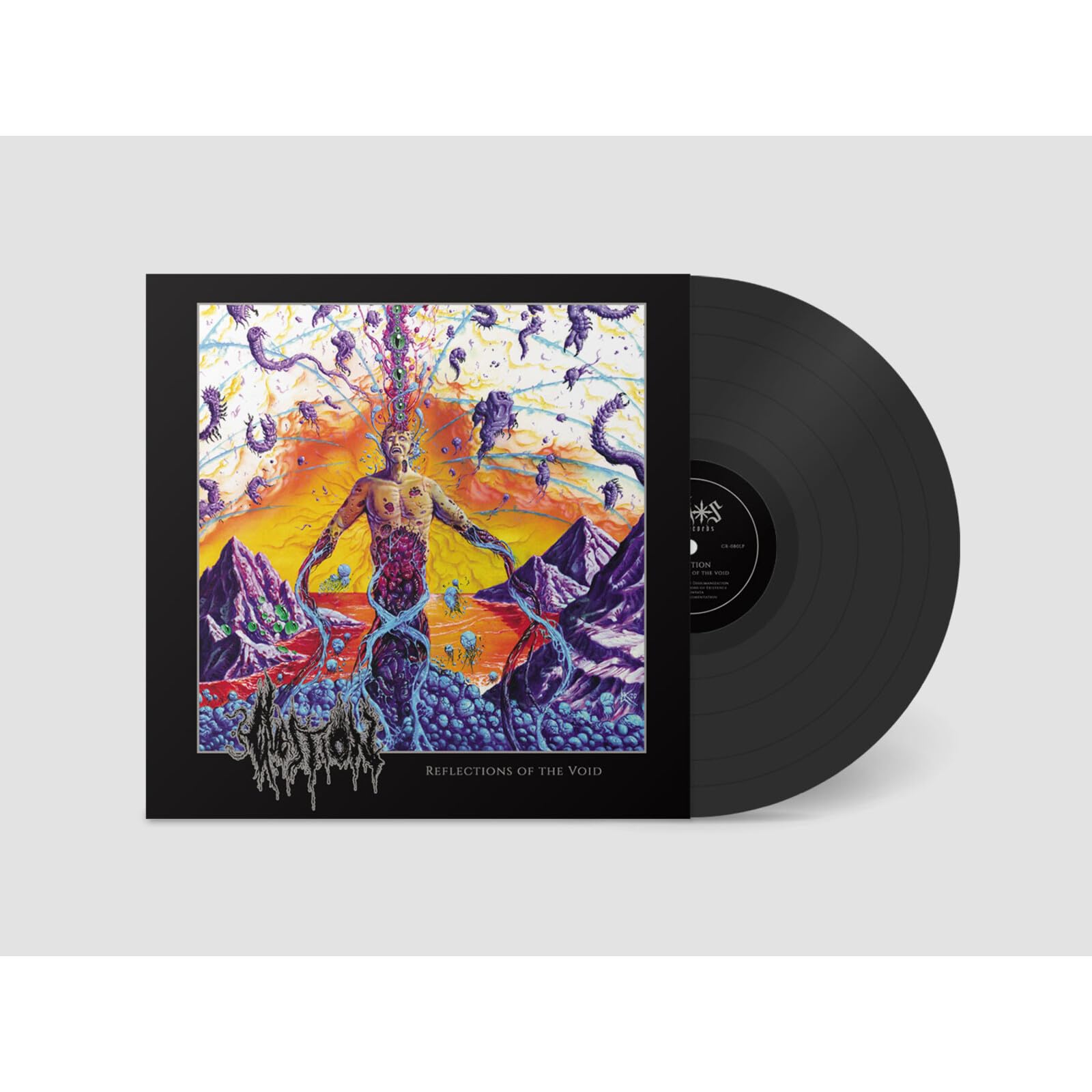 Reflections of the Void [VINYL]