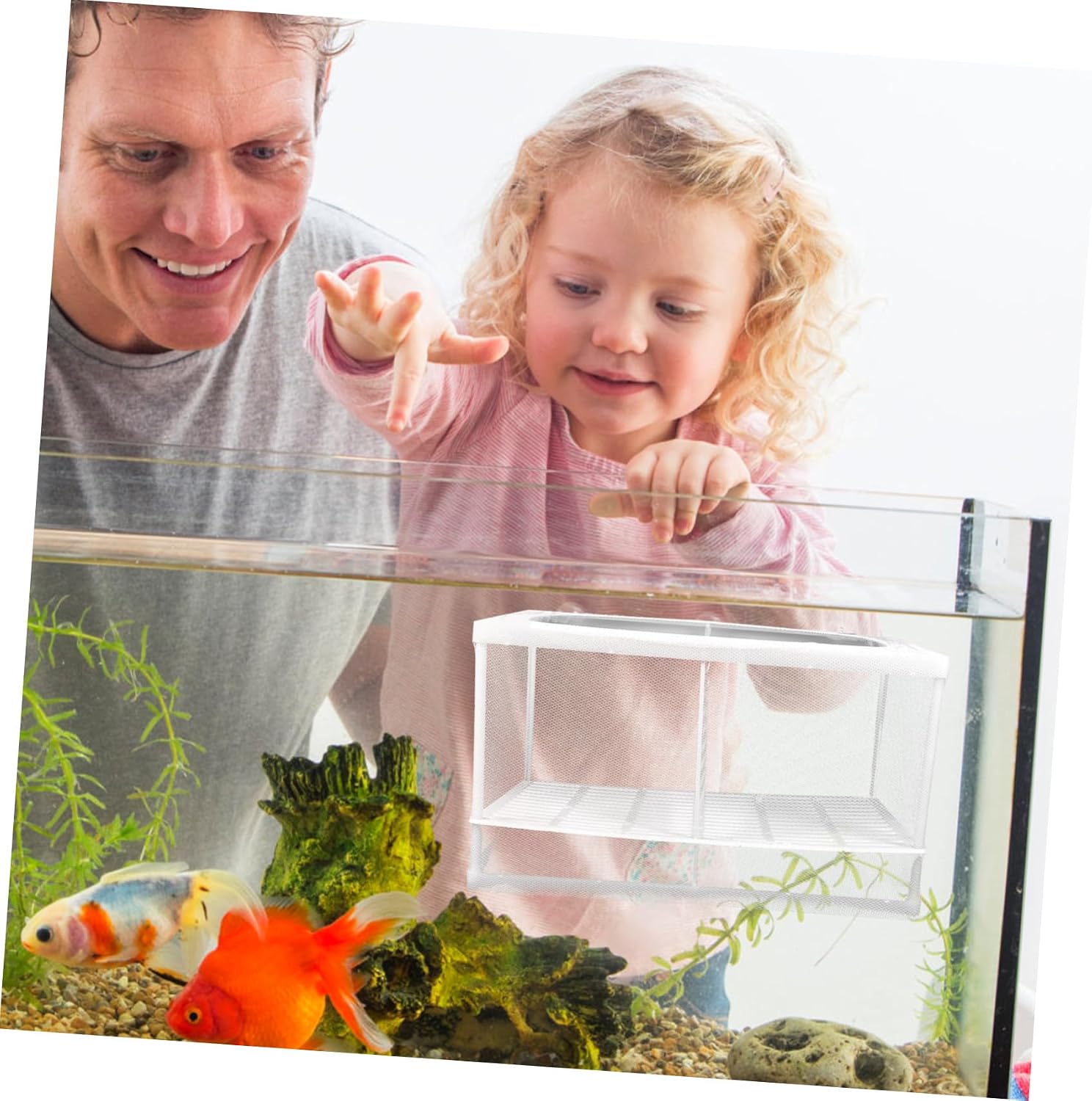 LIOOBO Aquarium Fish Breeding Isolation Net Plastic Fish Tank Partition Guppy Breeder Box Style