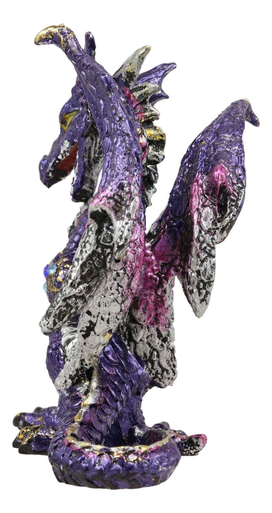 Amazon.co.jp: Ebros 小型 パープル 雨 アーマード ミッドナイト