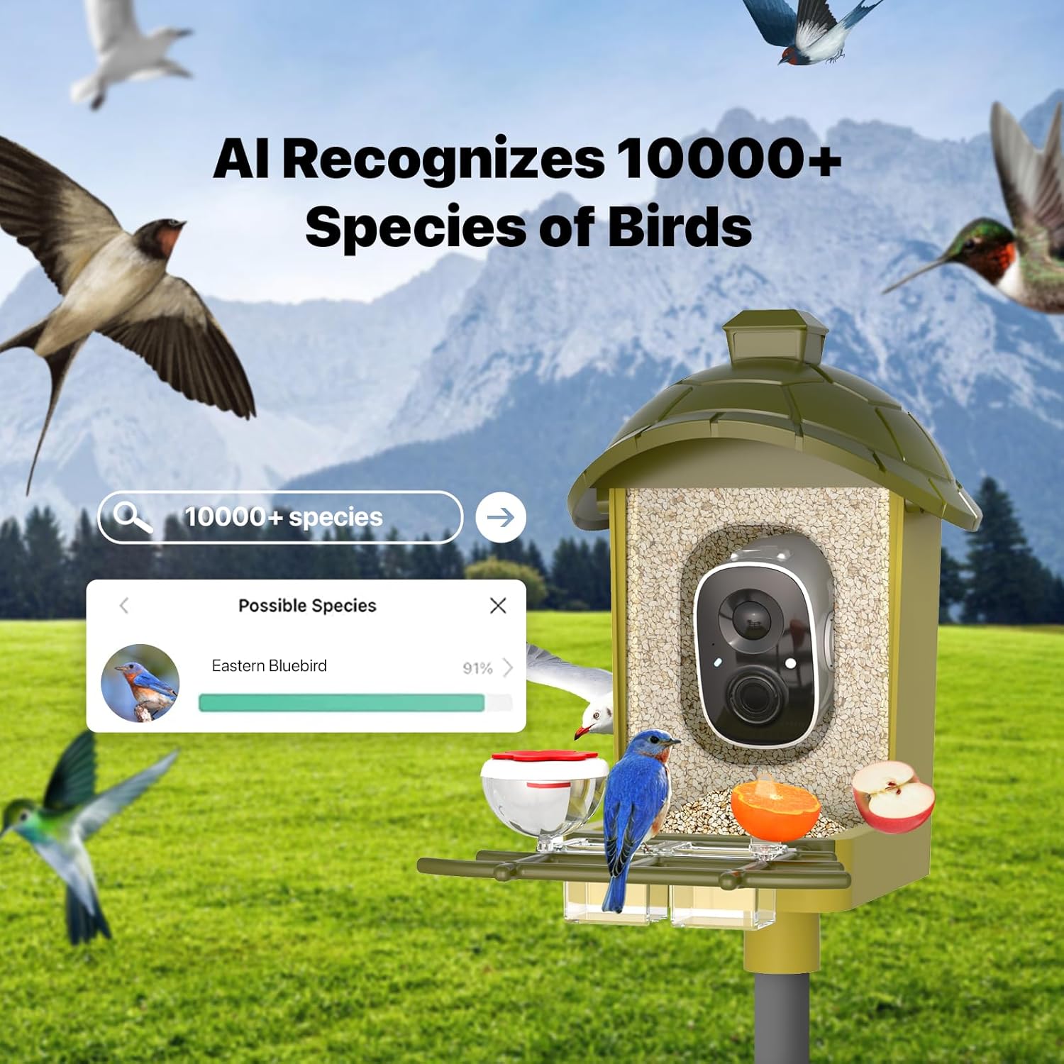 Smart Bird Feeder with Camera, Bird Feeder Camera 2K HD Record Video Live View with Solar Panel, AI Identify Species Auto Capture, Instant Arrival Alerts, Gift for Birds Lover - Image 2