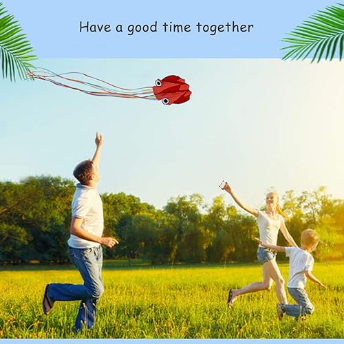 Miniatura 5 de Kite Mollusc Pultopus Kite Paquete de 2 piezas de cola larga colorida fácil de volar cometas para niños de 4 a 8 años y cometas para adultos con 2