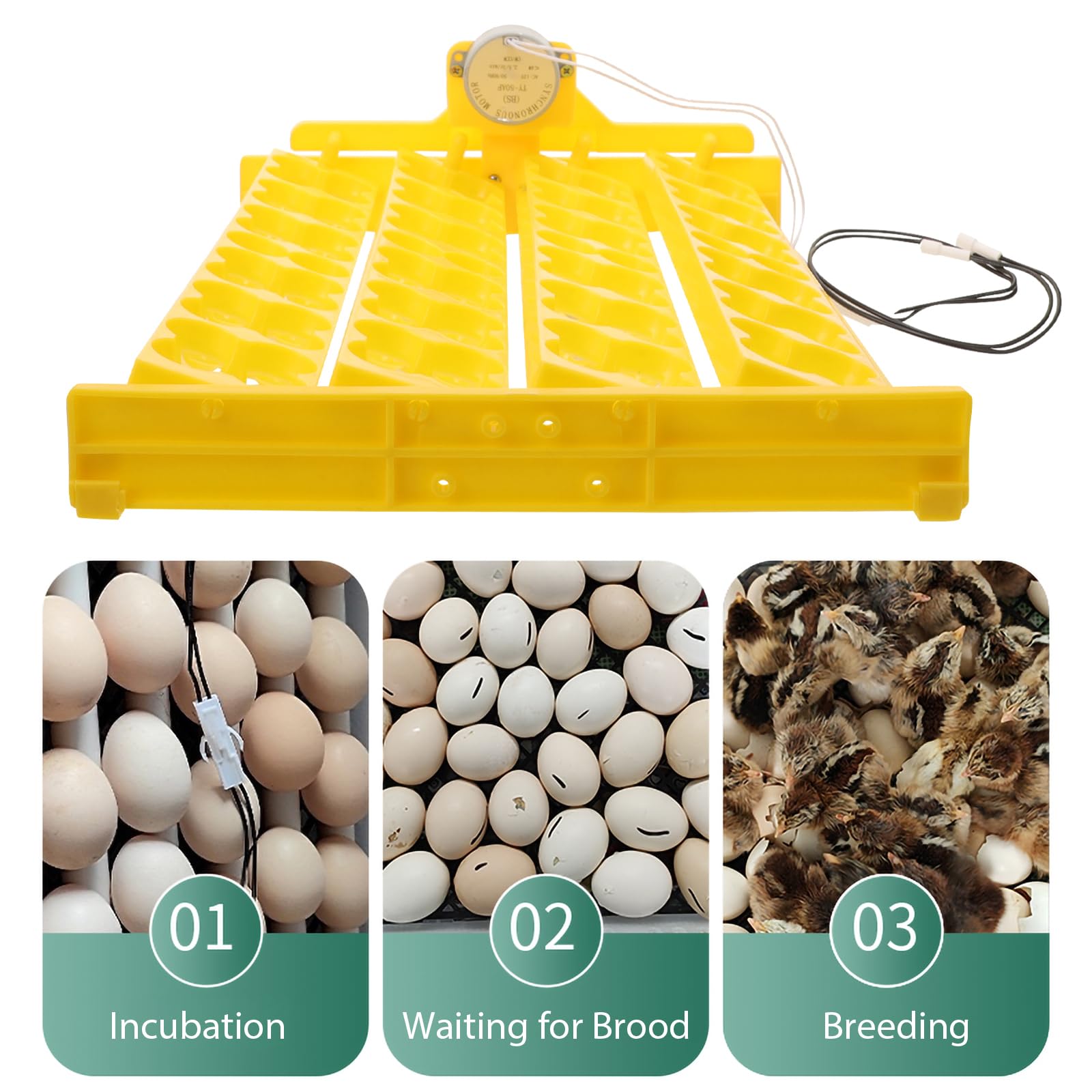 Happyyami Bandeja Giratoria Automática Para Huevos Incubadora Volteador Seguro Y Reutilizable Para Gallinas Patos Codornices Con Motor Integrado 15.74X9.84X0.78In