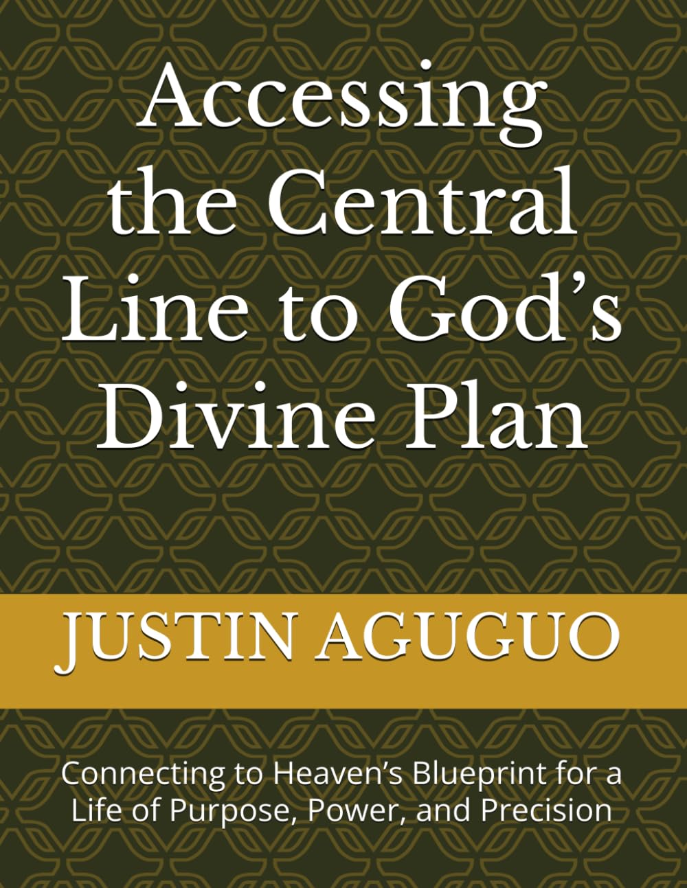 Accessing the Central Line to God’s Divine Plan: Connecting to Heaven’s Blueprint for a Life of Purpose, Power, and Precision