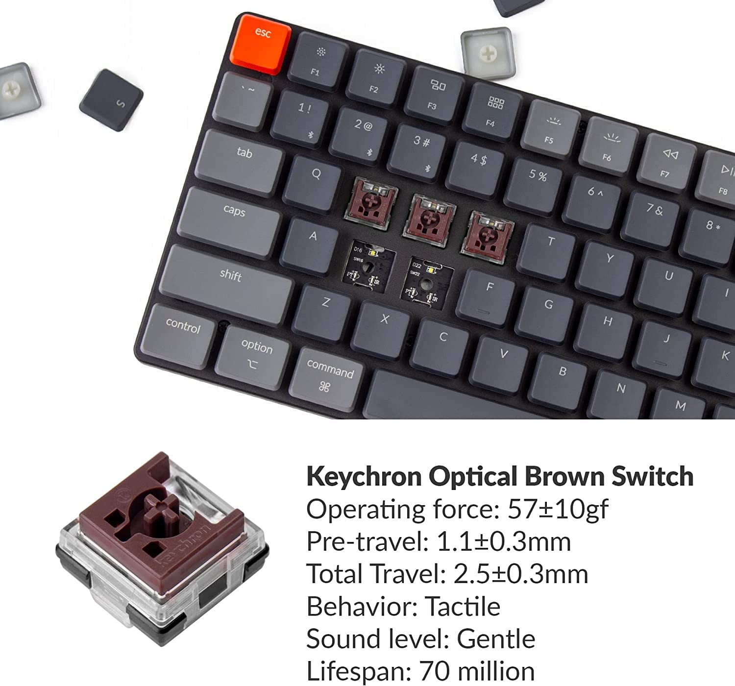 Amazon.com: Keychron K3 Version 2, 75% Layout 84 Keys Ultra