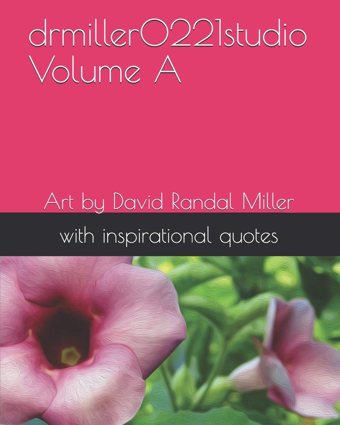drmiller0221studio Volume D: Art by David Randal Miller