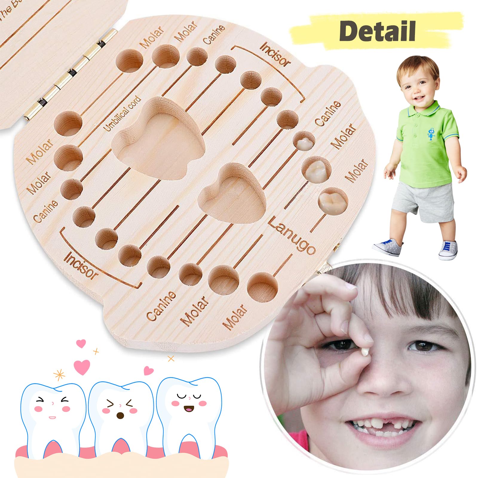 Kit Fée Des Dents Bois Boîte à Dents De Lait En Bois - Kit Complet Avec Bouteille à Souhaits Et Pince - Souvenir Enfant Rangement Souvenirs Bébé