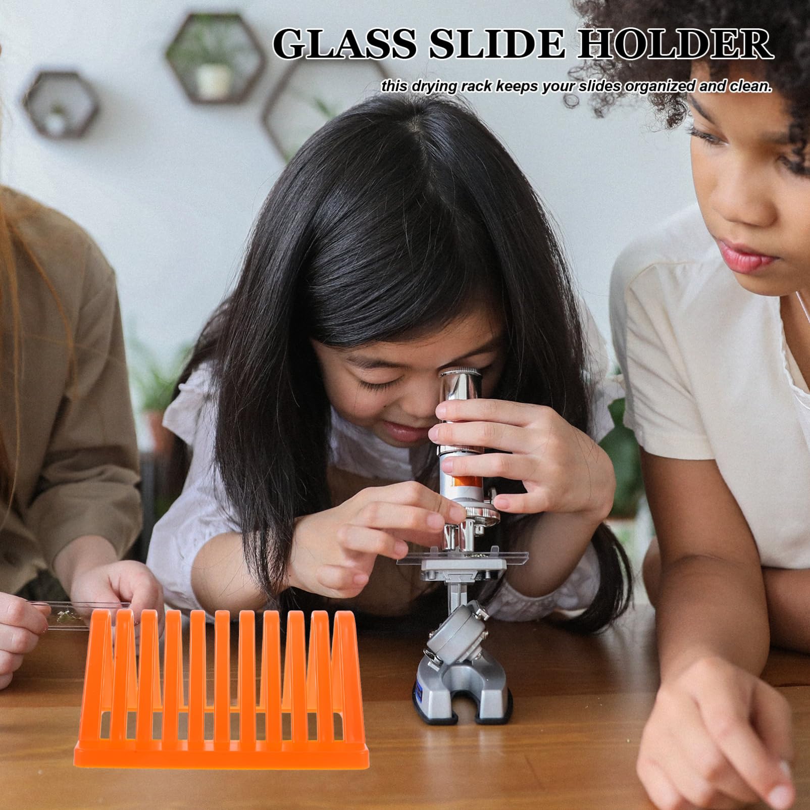 MUCKLILY 4pcs Micro Slide Stand Glass Slide Holder Glass Microscope Slide Drying Rack Lab Tools