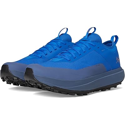 Мужские кроссовки Arcteryx Sylan GTX