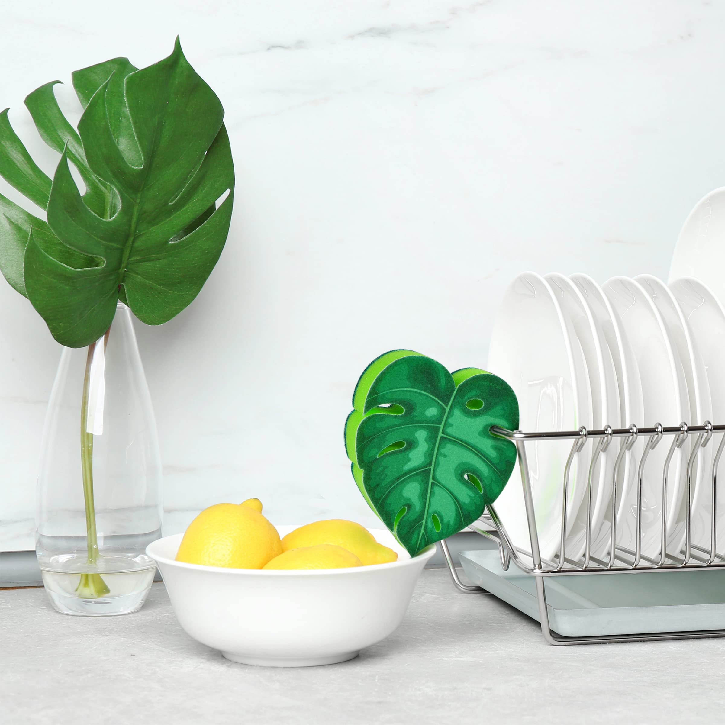 Genuine Fred, House Plant, Monstera Leaf Kitchen Sponge, Multicolor