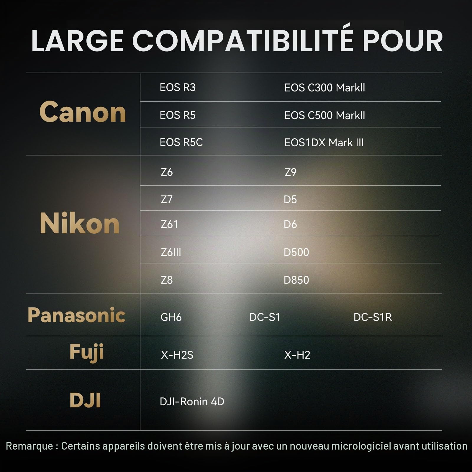 PERGEAR Professional Master Série 512 GB CFexpress 4.0 Type B Carte Mémoire