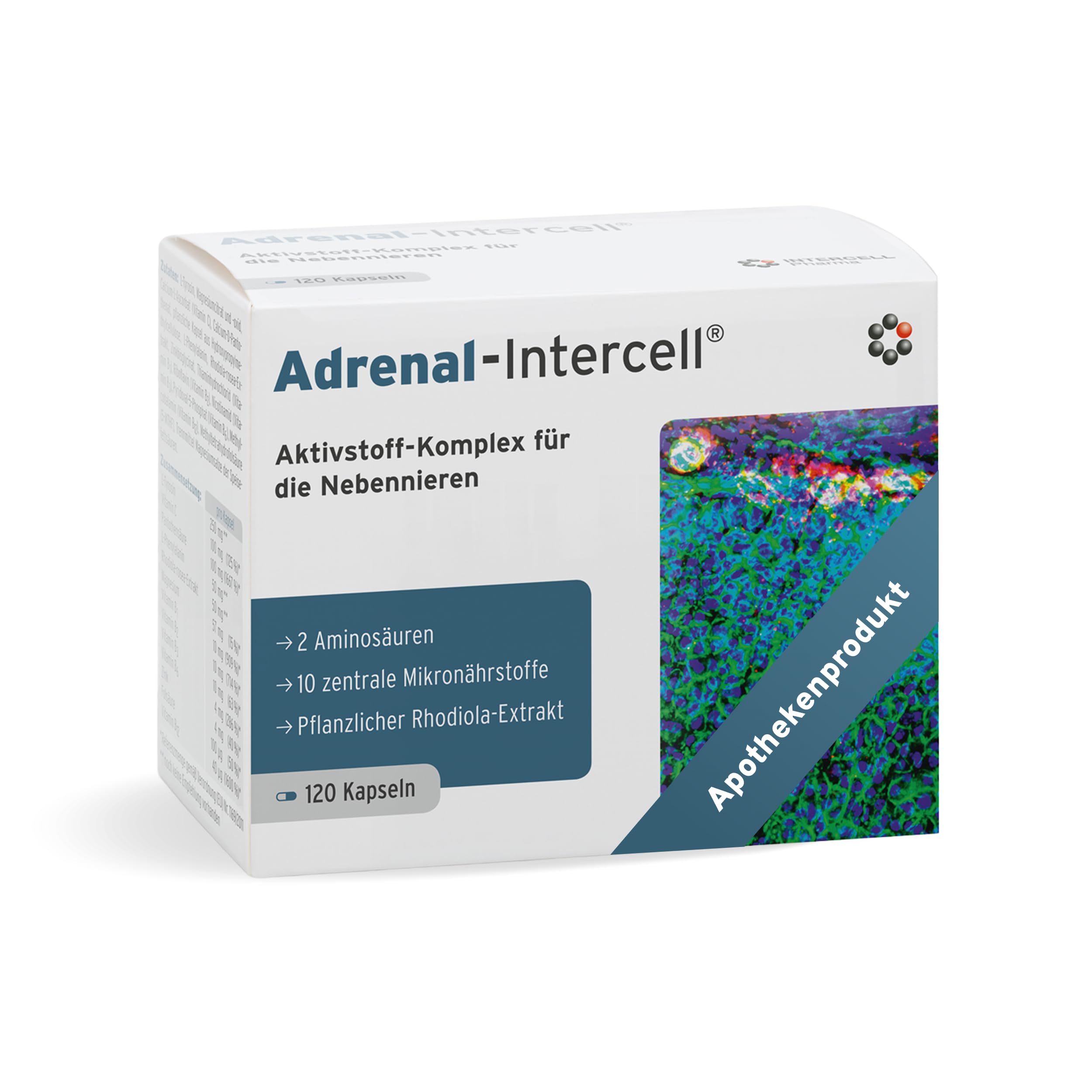 Adrenal Intercell (120 Kapseln) - Aktivstoff für die Nebennieren - mit L-Tyrosin (Aminosäure), Vitamin C, Pantothensäure, Rhodiola, Magnesium, Zink, Vitamin B1, B2, B3, B6, B12 & Folsäure