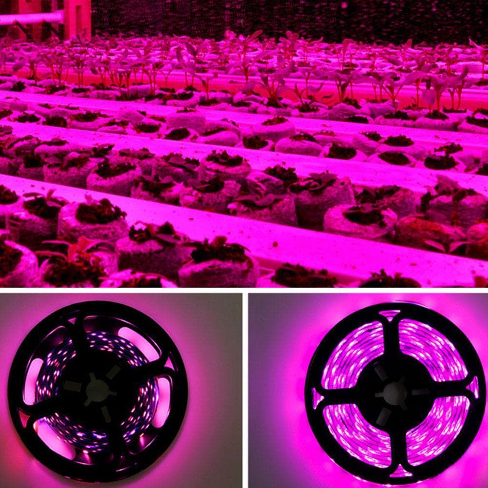 Amazon.co.jp: SOOGGI LED植物育成ライト 暖色 フルスペクトラム 植物