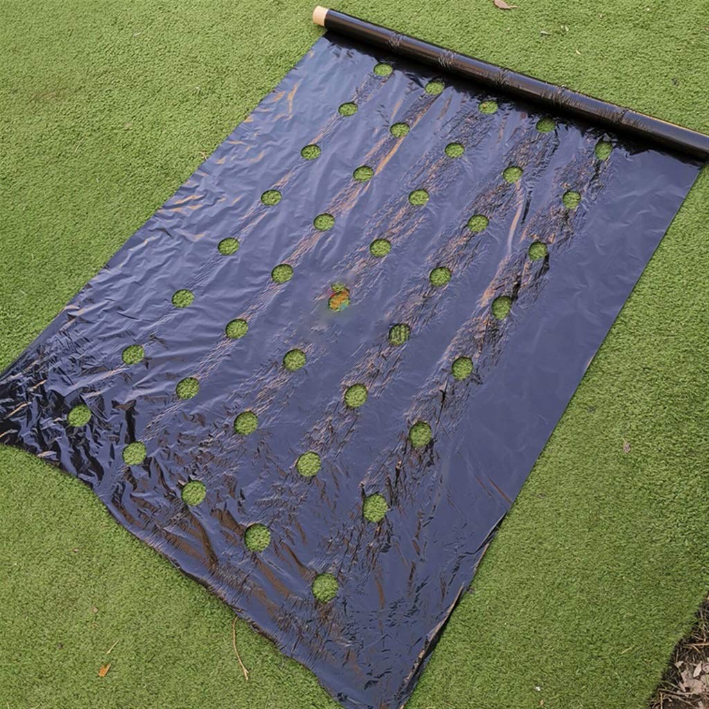 Mo Película De Plástico Agrícola, Película De Poliéster De Control De Hierba De Invernadero, Película De Herramientas De Plantación De Vegetales De Fresa (Size : 0.95x40m)