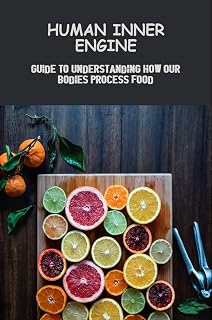 Human Inner Engine: Guide To Understanding How Our Bodies Process Food