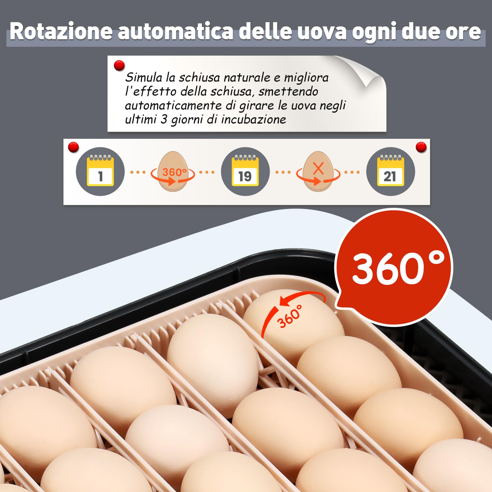 Sailnovo Incubatrici Automatica Per 56 Uova, Incubatrice Con Led Per Uova, Temperatura Uniforme, Tornitura Automatica Delle Uova E Umidificazione Automatica Grigio 47.5cm*41cm*16cm