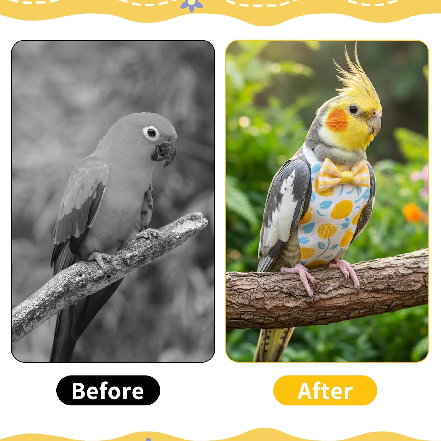 4 Pcs Bird Diapers, Parrot Diaper Reusable