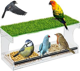 Window Bird Feeder, Bird House Feeder with Strong Suction Cups and Seed Tray for Any Season, Outdoor Bird Feeders with Drain Holes for Wild Birds, Finch, Cardinal, and Bluebird (B)