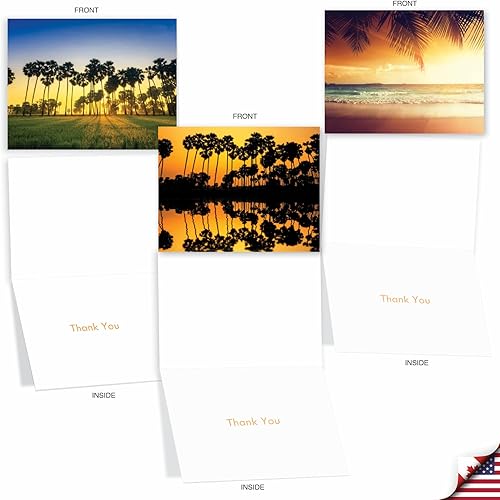 Miniatura 5 de The Best Card Company Juego de 10 tarjetas de agradecimiento surtidas de 4 x 5.12 pulgadas con sobres (10 diseños, 1 cada uno) Palm Beaches M6457TYG