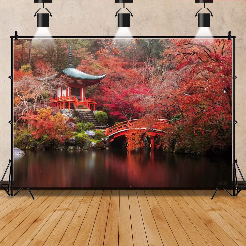 Amazon | Qinunipoto 背景布 紅葉 秋の景色 自然風景 2.7x1.8m 記念